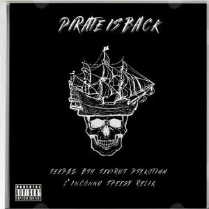Pirate Is Back 