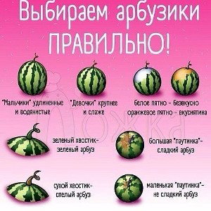 Sпермаman