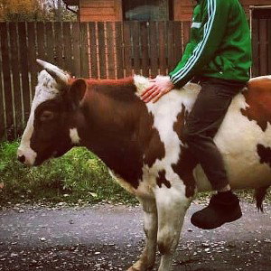 демо рубануть