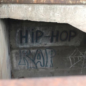 мусора бегают друг за другом