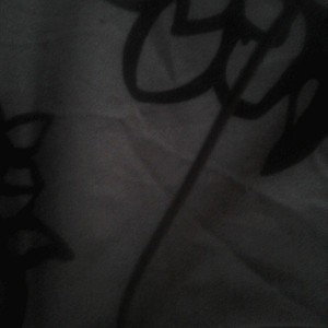 F. S. T