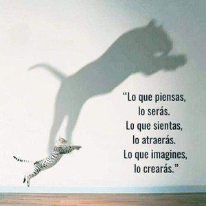 Poeta Lirical