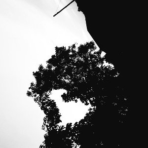 Good vibes-Maze 28