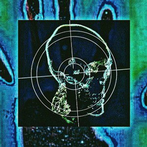 $in - Illuminate