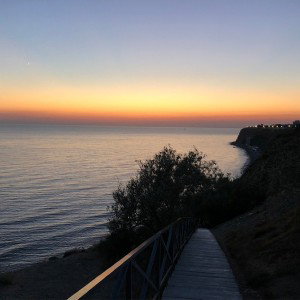 (22:24)