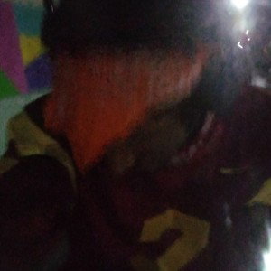 jamin now bow d barktrees