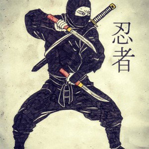 Der Ninja