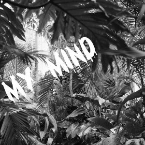 My mind