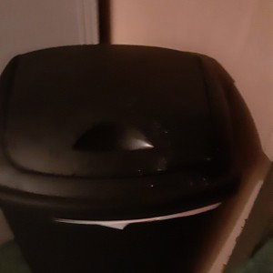 diss on saphier x(trash)