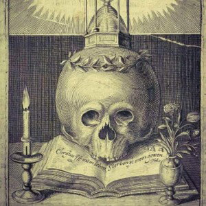 𝕬𝕷𝕰𝕮𝕿𝕺---几乇几卂