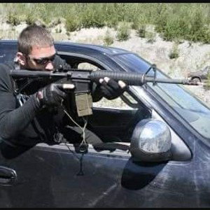 royal cazmose - window popper