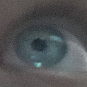 тут