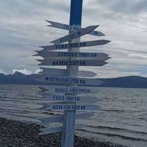 VOY EN BUSCA