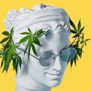 rap pollution