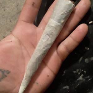 Untitled ft TrilledHippie