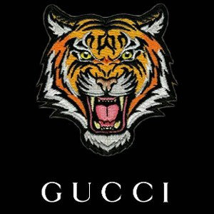 untouchable remix