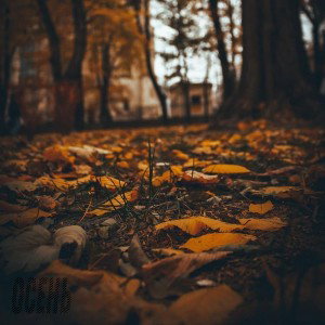 осень 
