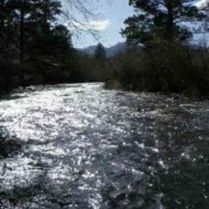 Let the river run 
