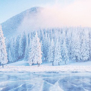 Cold