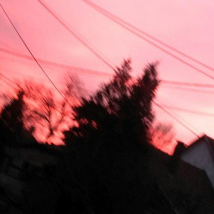 Laja - Hófehér