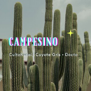 Campesino | Coyote Gris ☆ Docto Beats  Lo Fi
