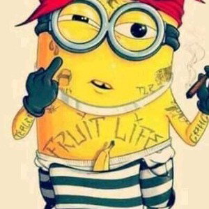 bitch budies