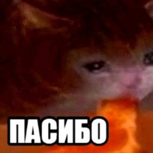                    Дика           