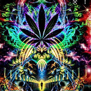 Prodigy13 - stoned