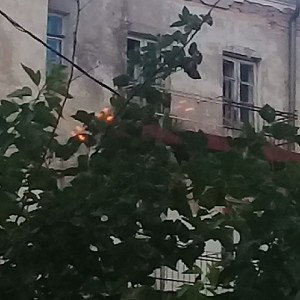 Lil Bit$ x Lil $mall feat Tony Chee$e-SSS