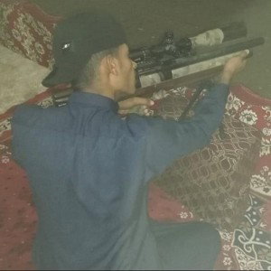 كوين خنزير