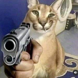 первый трек