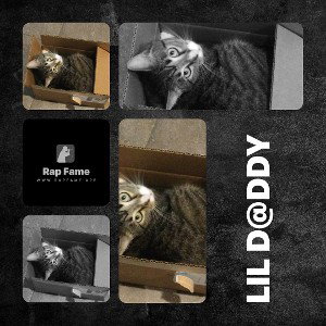 kittens in the box,   lil d@ddy!