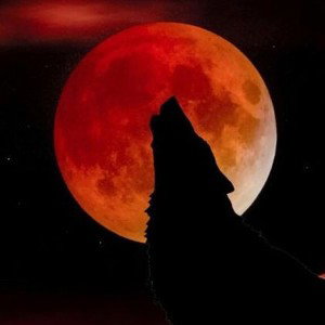 Der Mond