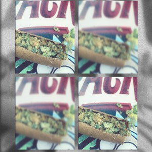 Freestyle 