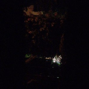 Dark Night Freestyle