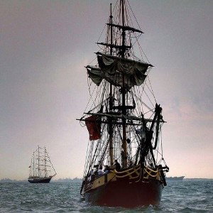 Mpy - Pirates #RFET