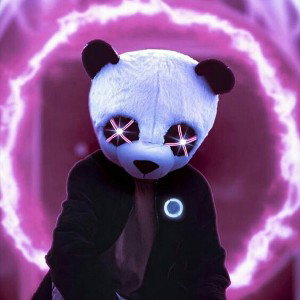 panda