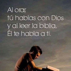 los_bere_caer