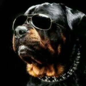DAWG IN ME