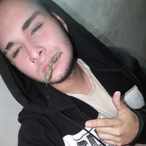 no lo pueden hacer