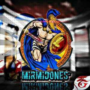 Freestyle seccion(principiante)