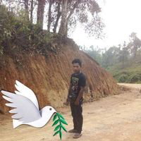 Mali Malikona-1