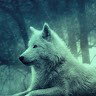 Needs_13-01