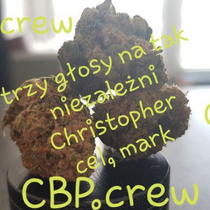 Ka Wa - niezależni_cbp