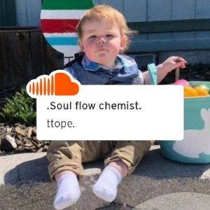 soul flow chemist
