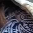 Demon