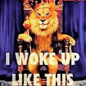 Woke up like this (freestyle)