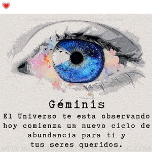 DandY - Sentimiento Original