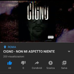 CIGNO -NON MI ASPETTO NIENTE
