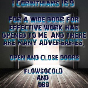 OBD & Flowsocold - Open this door